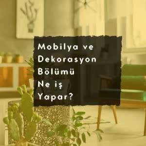 Mobilya ve Dekorasyon Bölümü Ne İş Yapar ?